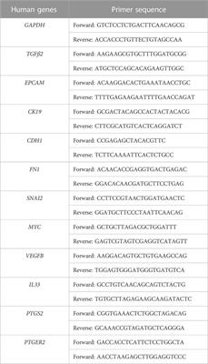 In vitro cross-talk between metastasis-competent circulating tumor cells and platelets in colon cancer: a malicious association during the harsh journey in the blood